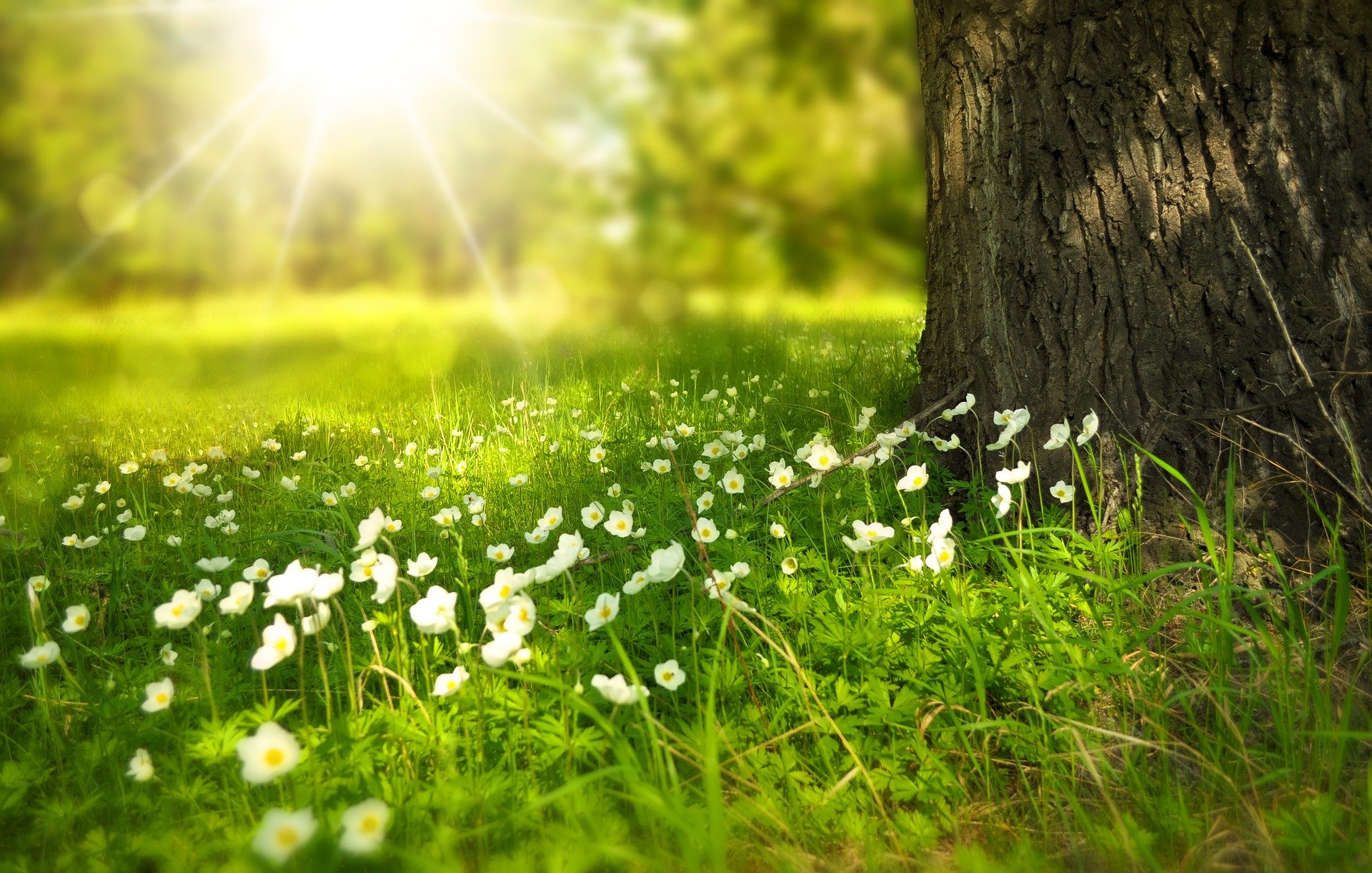 psychoterapeuta psycholog Warszawa